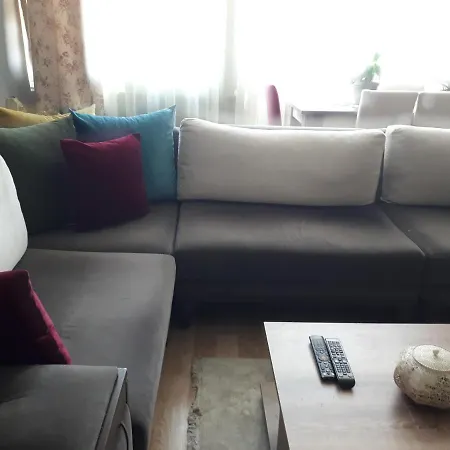 Kedim Ve Kopegimle Misafirimiz Olur Musunuz ? *